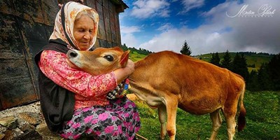 Anadolu'nun sıcak yüzleri