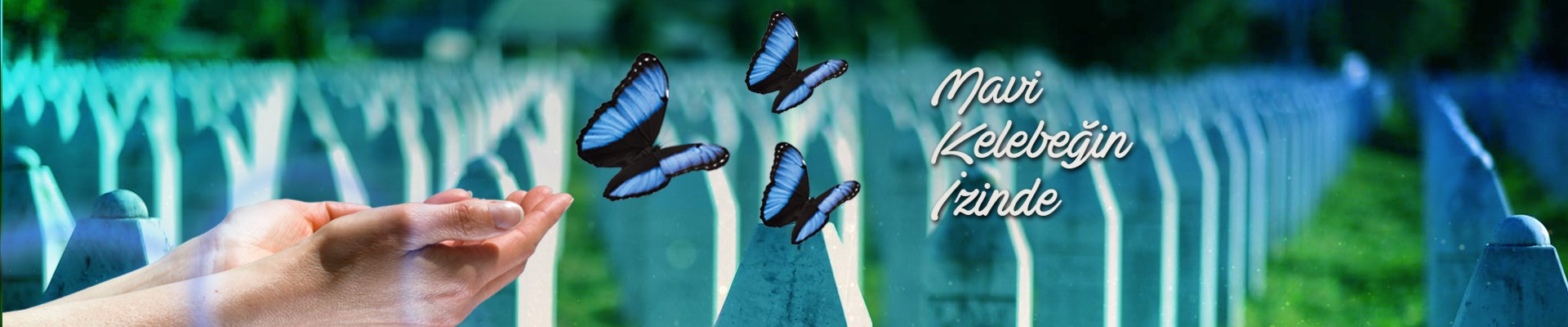 mavi-kelebegin-izinde