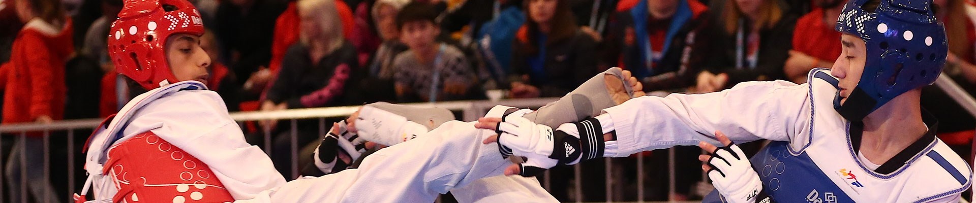 5-uluslararasi-turkiye-acik-tekvando-turnuvasi