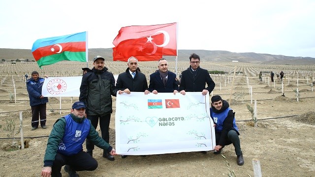 azerbaycanda-gelecege-nefes-kampanyasi-kapsaminda-111-bin-fidan-dikildi