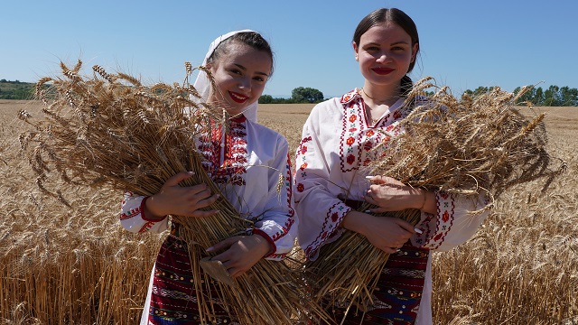 bulgaristanin-kramolin-koyunde-bugday-hasat-toreni-gelenegi-suruyor