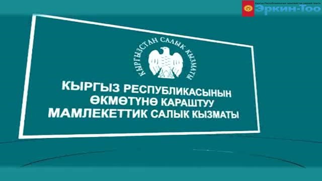 kirgizistan-da-gecen-yil-vergi-gelirleri-rekor-seviyede-artti