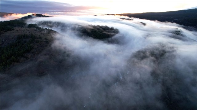 erzurumdaki-saricam-ormanlarinin-bir-kismi-sisle-kaplandi