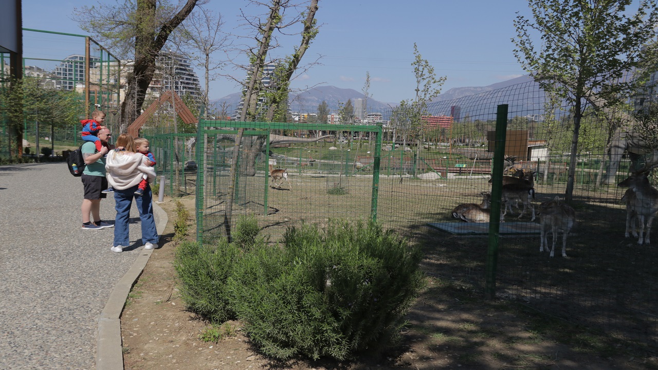 arnavutluktaki-tiran-hayvanat-bahcesi-59-yildir-yuzlerce-ture-ev-sahipligi-yapi