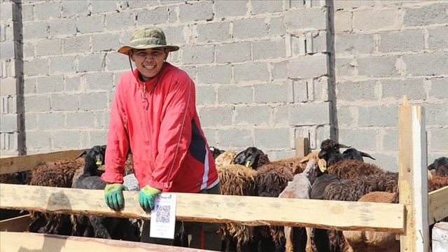 kazakistanda-geleneksel-kurban-pazarlari-hala-yogun-ragbet-goruyor