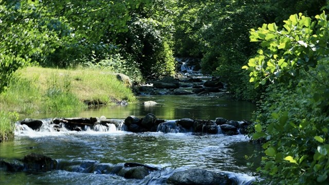 turkiyenin-korunan-alanlari-2030a-kadar-yuzde-30a-yukseltilecek