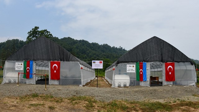 tika-azerbaycanda-cay-ve-narenciye-fidesi-seralari-kurdu