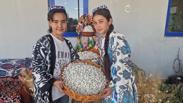 ozbekistanda-ev-kadinlarina-ipek-bocegi-yetistiriciligi-ile-istihdam-saglaniyor