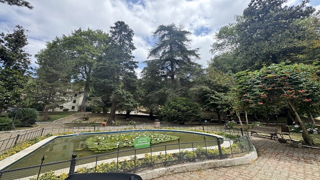 turkiyenin-ilk-arboretumu-66-tur-agaca-ev-sahipligi-yapiyor