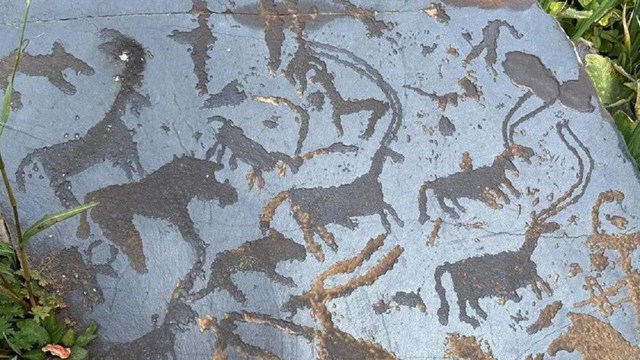 kirgizistan-da-petroglifler-sanal-gerceklikle-bulustu