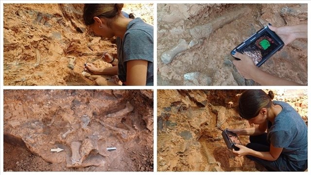 denizli-tavas-kazilarinda-fosil-turu-sayisi-27-ye-ulasti