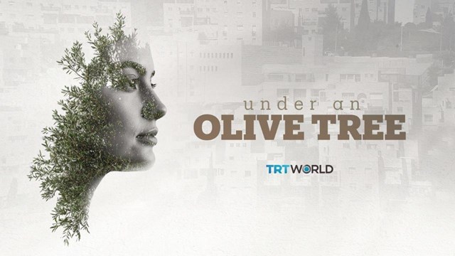 trt-world-bir-zeytin-agacinin-altinda-ile-filistin-mucadelesini-ekranlara-tasi