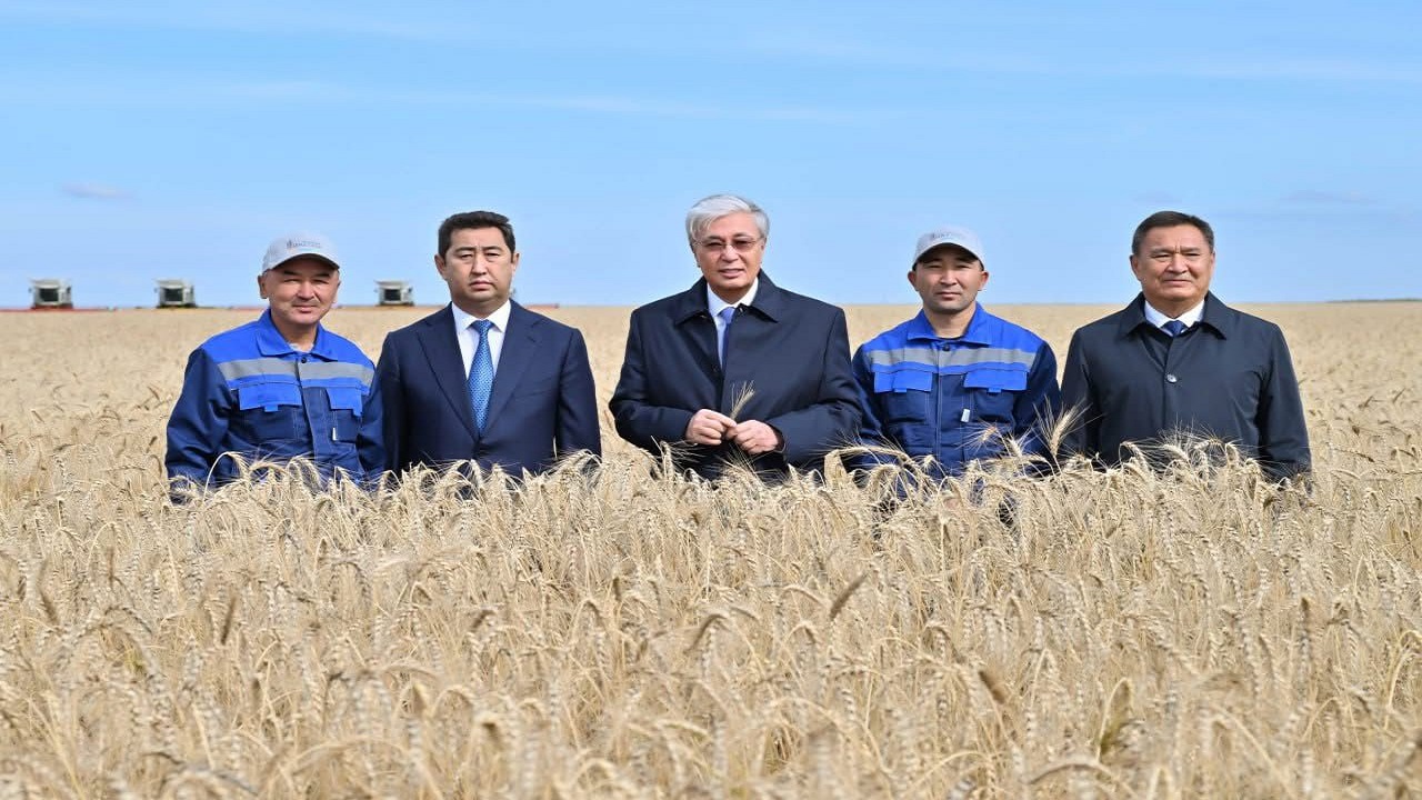 kazakistanda-baklagil-ve-yagli-tohumlar-hasadi-bereketli-gecti