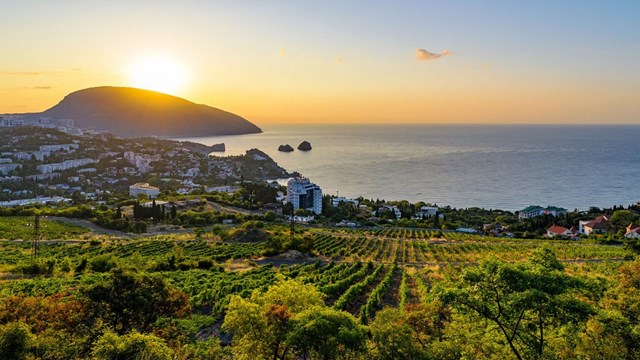 kirim-platformu-parlamenter-zirvesi-2026-da-londra-da-yapilacak