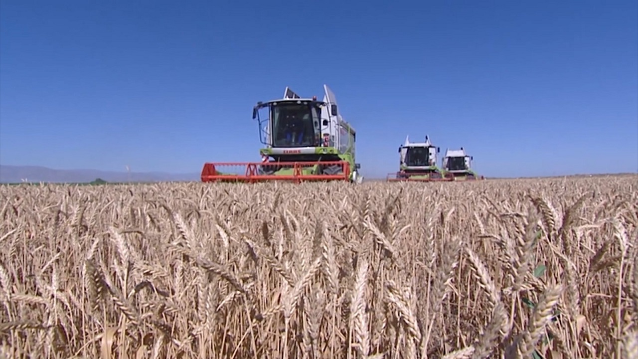 turkmenistan-devlet-baskani-berdimuhamedov-tarimsal-uretimi-yerinde-inceledi