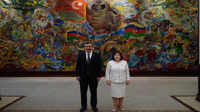 cumhurbaskani-yardimcisi-yilmaz-azerbaycan-milli-meclisi-baskani-gafarova-ile-g