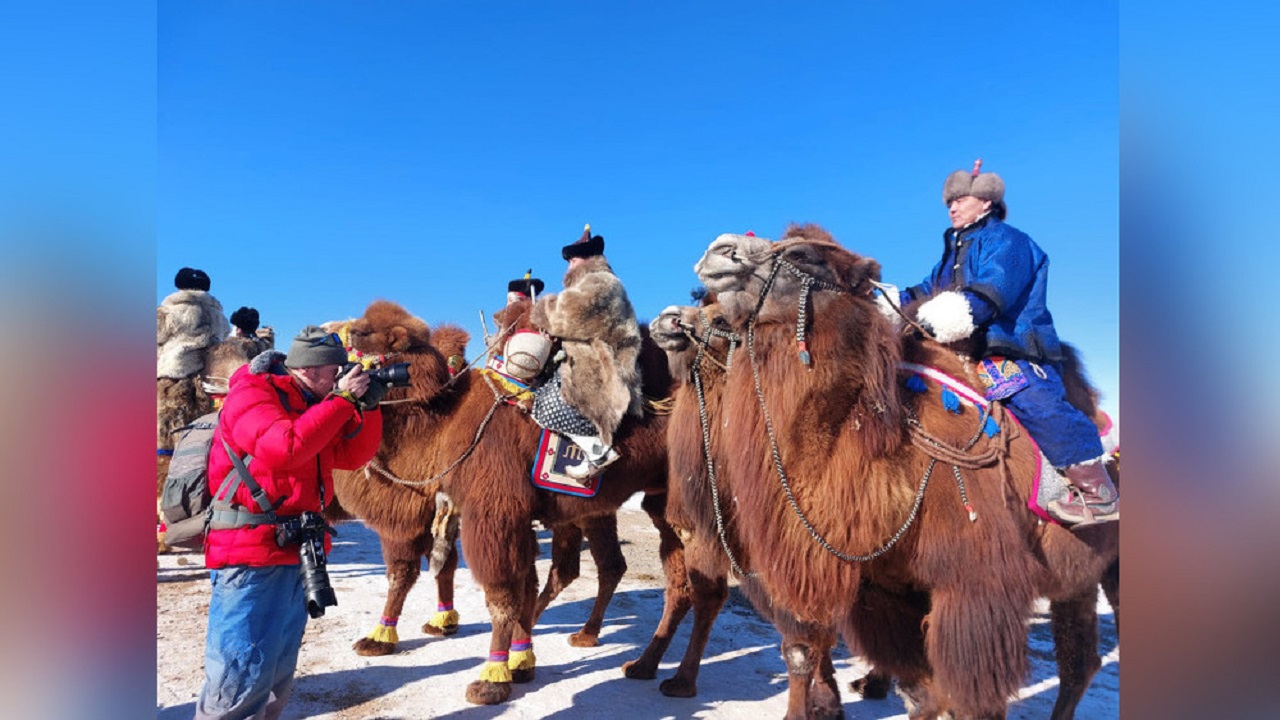 mogolistan-da-deveden-gunese-daha-yakin-festivali-basliyor