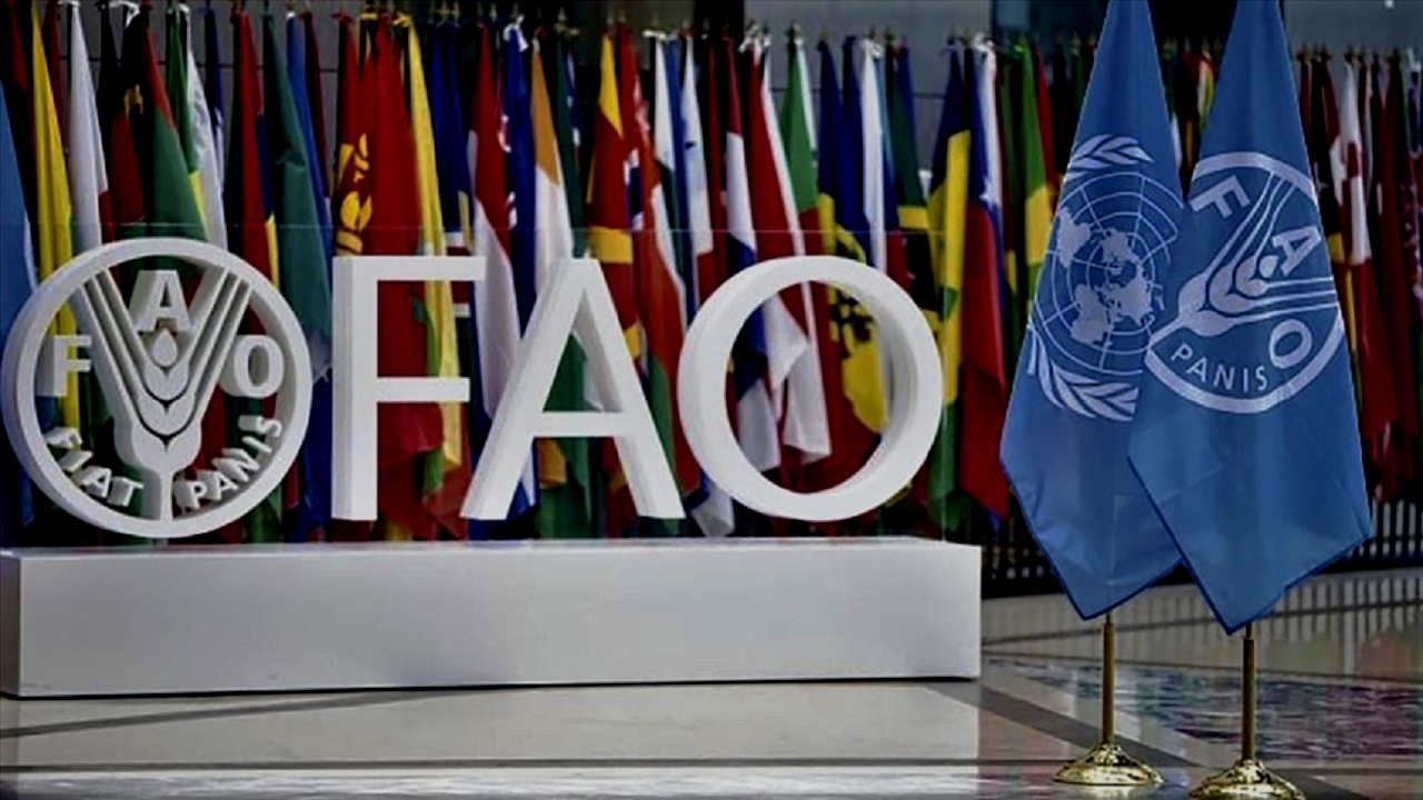 turkmenistan-ve-fao-birlikte-2030-yol-haritasini-belirledi