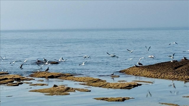 kazakistan-su-seviyesi-dusen-hazar-denizi-icin-2-milyon-dolardan-fazla-kaynak-ay